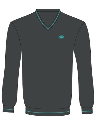 Cotton Sweater -- [FS1 - YEAR 11]